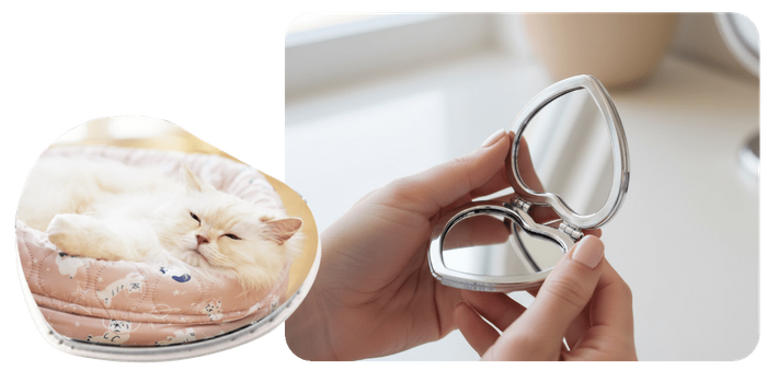 ハート型ミラーコース