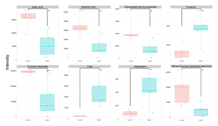 図1　大脳で有意差を示した8種類の代謝物の箱ひげ図 赤色はコントロール群、青色は炎症モデルマウス群を示す。代謝物は上段左から、Malic acid（リンゴ酸）、Aspartic acid（アスパラギン酸）、Glyceraldehyde-3-phosphate（グリセルアルデヒド-3-リン酸）、Tyrosine（チロシン）、下段左から、N-acetylaspartate（N-アセチルアスパラギン酸）、Urea（尿素）、Asparagine（アスパラギン）、Allose/Glucose/Galactose/Mannose（アロース／グルコース／ガラクトース／マンノース）を示す。