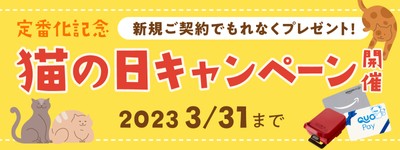 猫の日キャンペーン開催