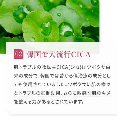 韓国で大流行CICA
