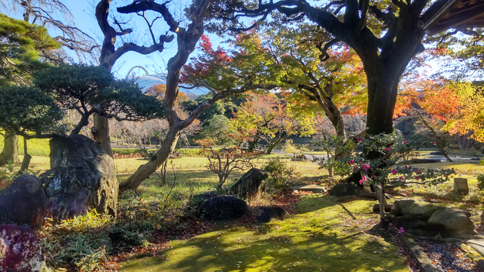 涵徳亭前庭（※イメージ）