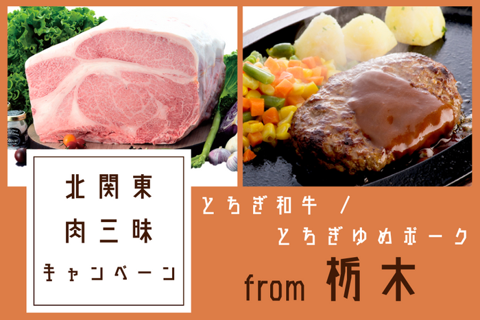 厳選!とちぎ自慢の肉グルメセット