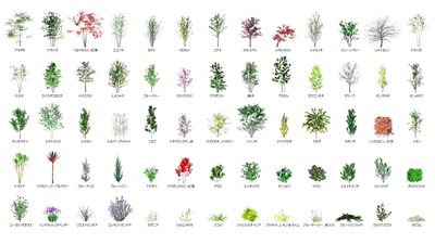 3D植栽追加