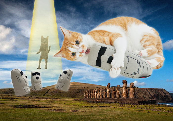 モアイの謎キッカー &yen;2,530（税込）