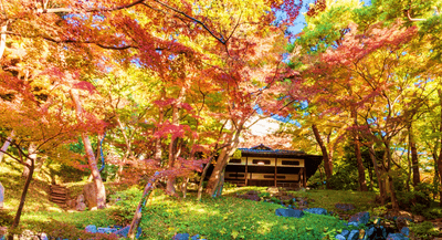 過去の紅葉の様子（紅葉亭）