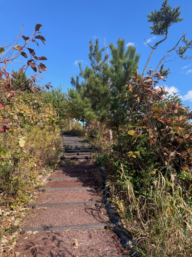 トレッキングコース階段