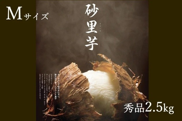 〇さといも 砂里芋（さりいも） 秀品２.５㎏Ｍサイズ