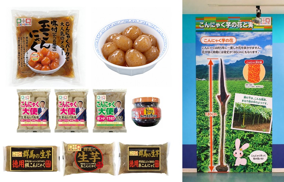 鰹だし味付け生芋玉こんにゃく(新芋)、生芋玉こんにゃくの煮物、2026新芋祭り限定セット、コンニャクイモパネル