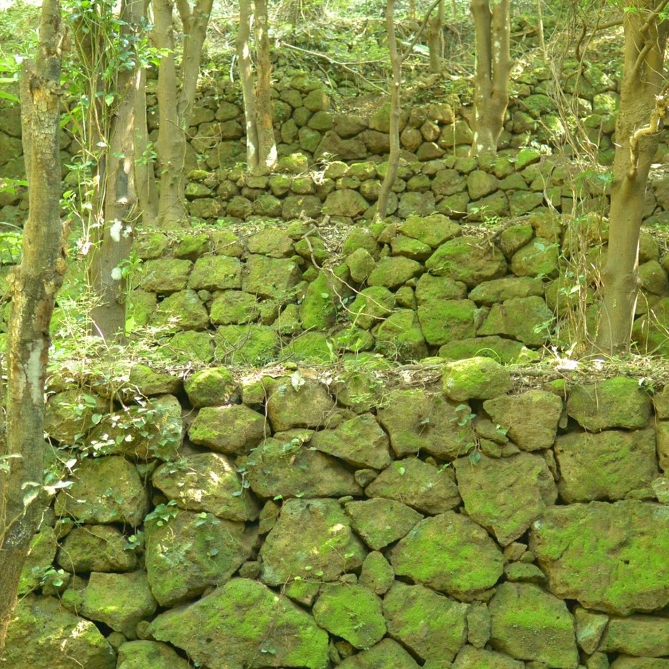 岩地コース石積