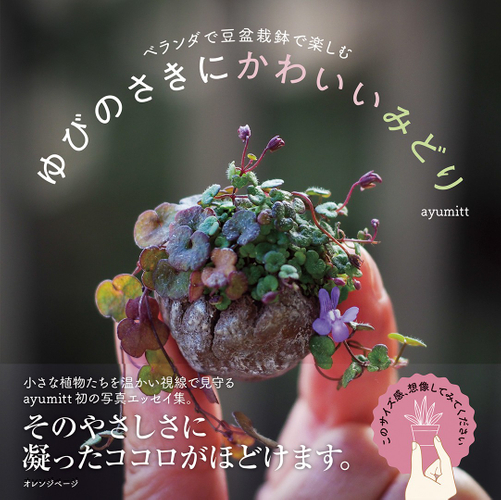 『ベランダで豆盆栽鉢で楽しむ ゆびのさきにかわいいみどり』（帯あり）