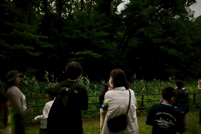 2025年の「夜のホタル観察会」の様子