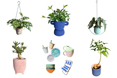 店主が一点一点セレクトした個性豊かな植物と、国内外からセレクトした暮らしの雑貨。