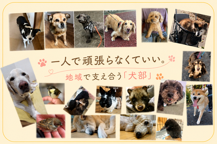 （出会いと別れ、たくさんの笑顔と涙。一つ一つの命が輝きますように）