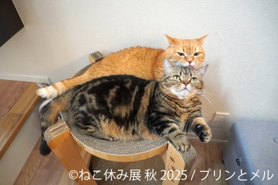 展示作品:プリンとメル