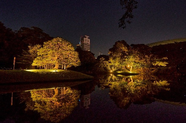 一つ松・蓬莱島のライトアップ（イメージ）