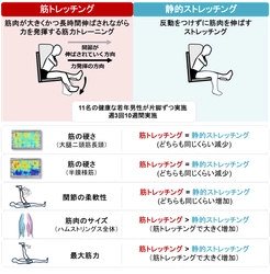 「筋トレはストレッチングの代わりになるのか？」
筋肉を"柔らかく"・"強く"・"大きく"する一石三鳥の新たな筋トレ法