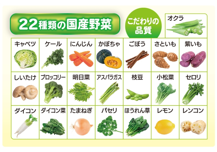 22種類の国産野菜