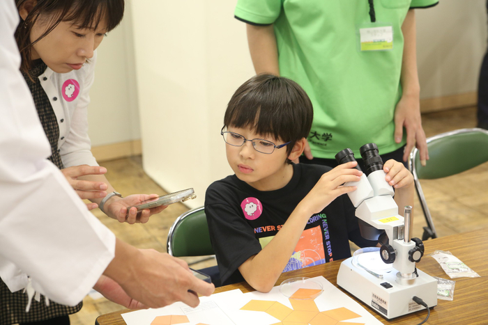 2日目の「石や砂で自由研究」の一幕です