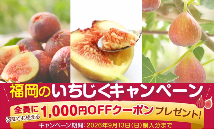 福岡のいちじくキャンペーン