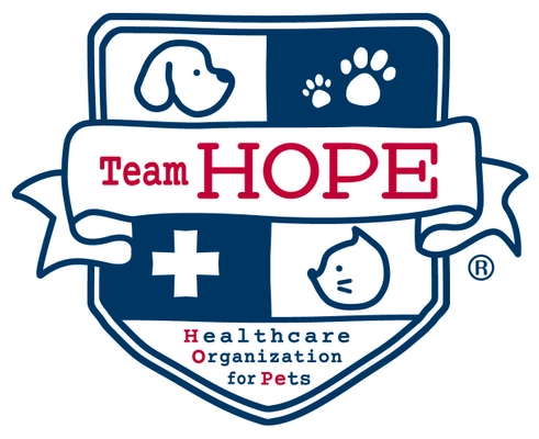 一般社団法人Team HOPE広報事務局