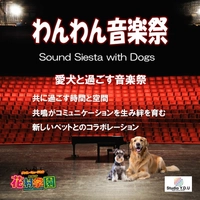 株式会社スタジオY.D.U