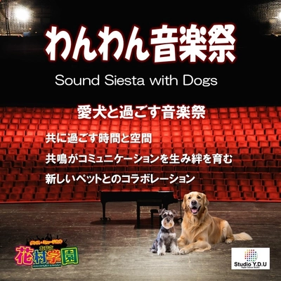 株式会社スタジオY.D.U