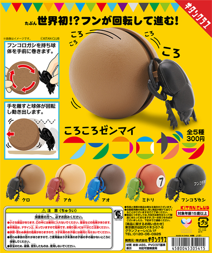 このPOPが目印!