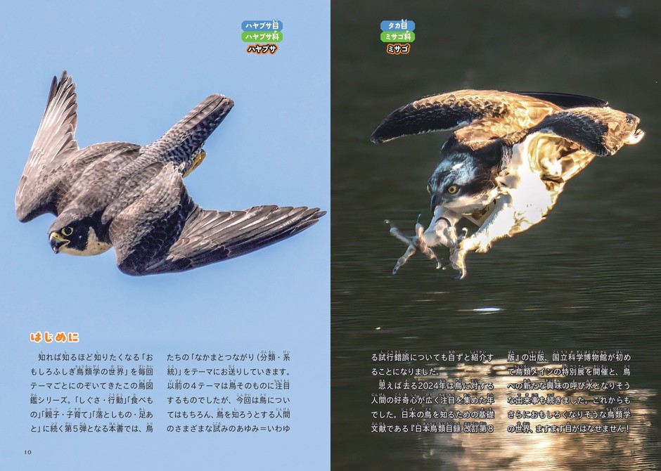 『鳥のなかま&分類・系統図鑑』はじめに