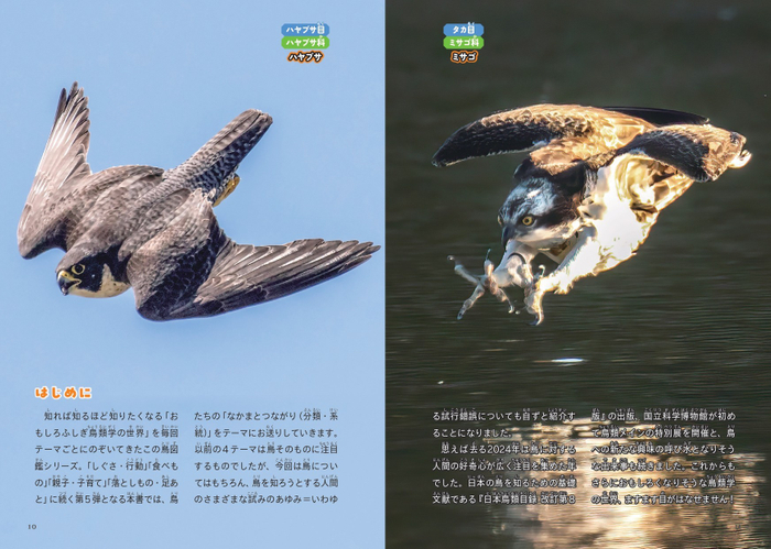 『鳥のなかま＆分類・系統図鑑』はじめに