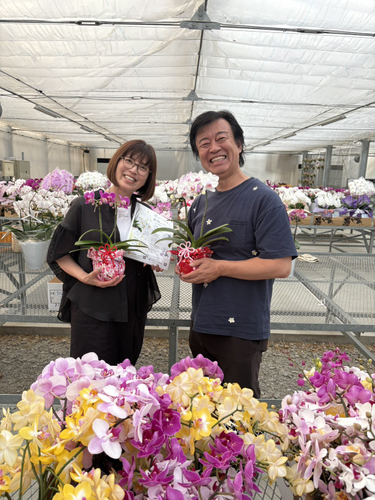 中川さんと、ゆっくり走り、手塩にかけた胡蝶蘭をお花が傷つかないように丁寧に避難所に花を届けにいきます