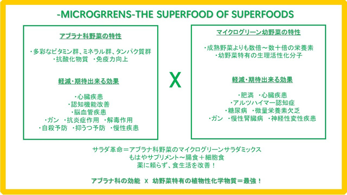アブラナ科品種効能×幼野菜特性