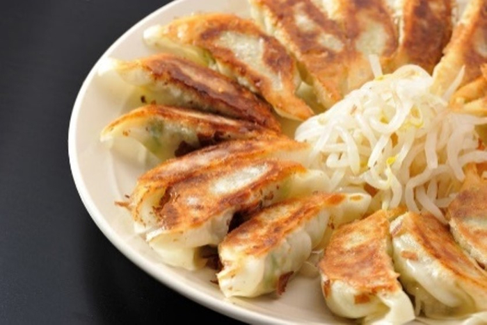 静岡県の野菜たっぷり 浜松餃子（餃子の村長）15ケ入&times;4パック