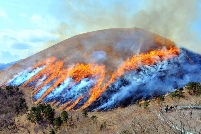 大室山 山焼き1
