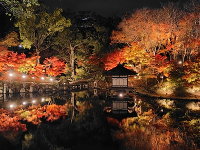 西之丸庭園の紅葉