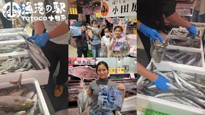 魚のテーマパークで秋の豊漁を楽しむ！ 30秒でどれだけ詰められる！？「鮮魚の詰め放題」 漁港の駅TOTOCO小田原で10月11日・12日・24日・25日に開催！