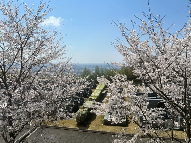 マイ古墳（家族古墳墓）から大阪平野が一望できます