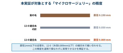 本実証が対象とする手技の精度