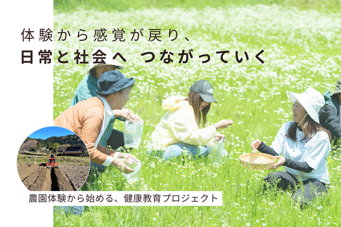 岐阜県大垣市生産量日本一！その中でも、希少な国産＆自然栽培のジャーマンカモミール(カミツレ)の収穫体験開催の様子