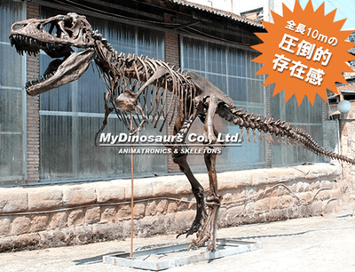 ティラノサウルス全身骨格