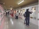 展示会場全体の様子
