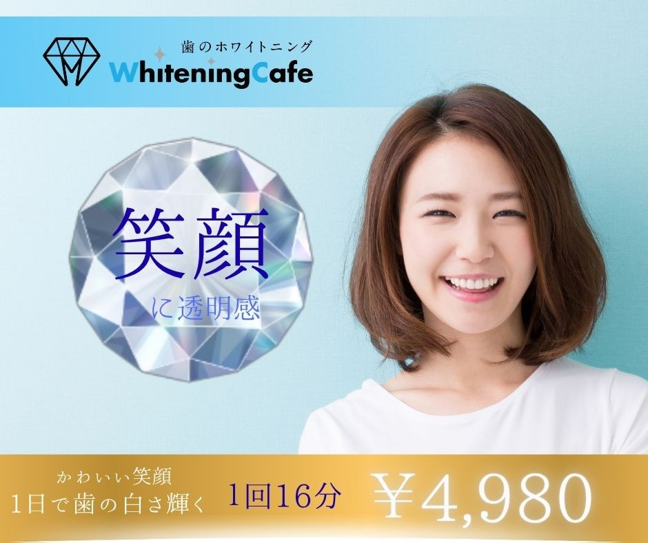 通常価格です。ただいまキャンペーン中です。