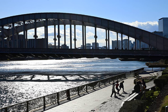 satogawa.9carp 撮影場所:勝鬨橋