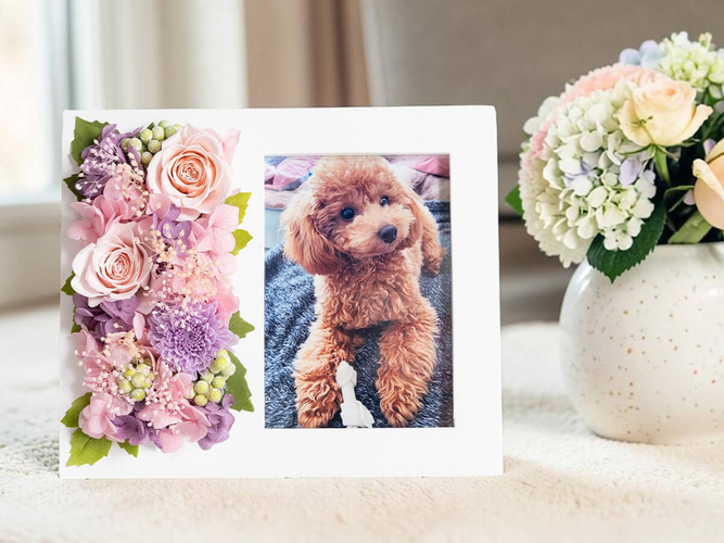 生花・プリザーブドフラワーなど用途に合わせた商品を展開