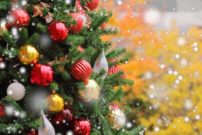クリスマス　※イメージ