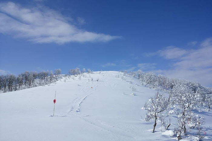 スキージャム勝山（福井県 勝山市）
