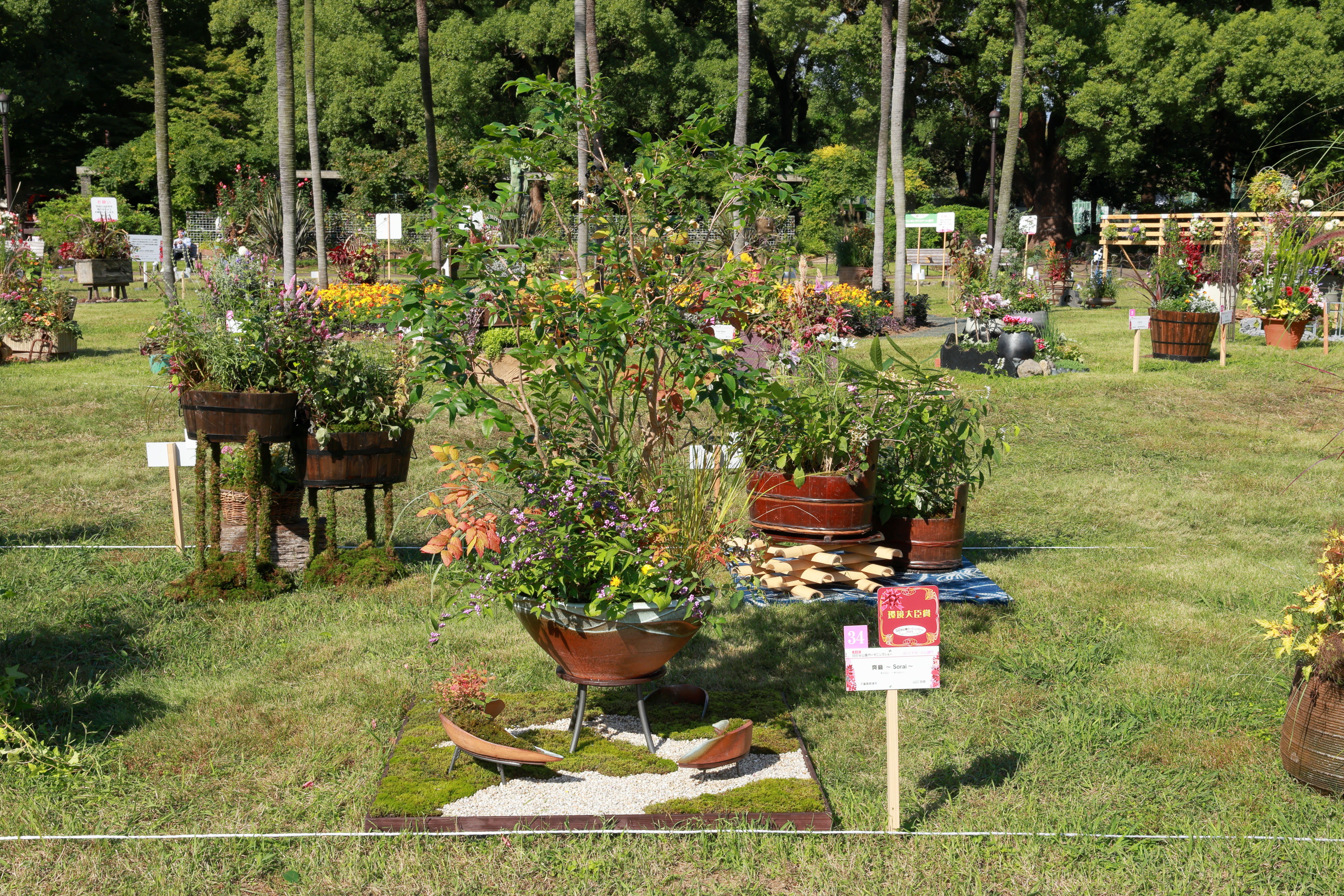 2024年度 環境大臣賞 ≪爽籟 ～Sorai～≫山口 玲奈