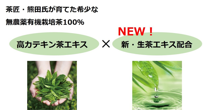 「高カテキン茶エキス」&times;「生茶エキス」