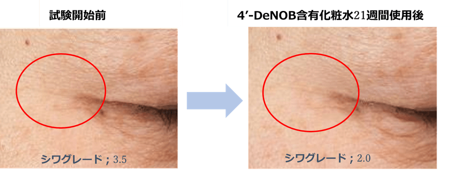 図5