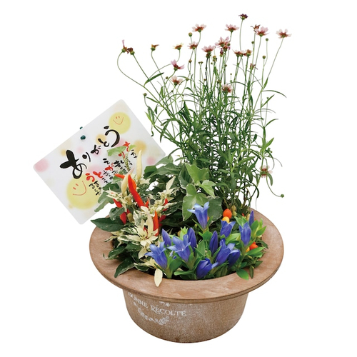 りんどうと季節のお花の寄せ鉢&yen;4,180 税込