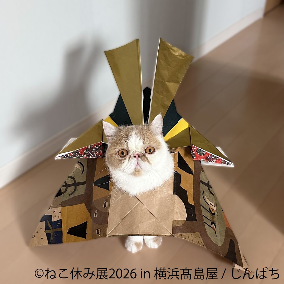 【ねこ休み展】展示作品：じんぱち